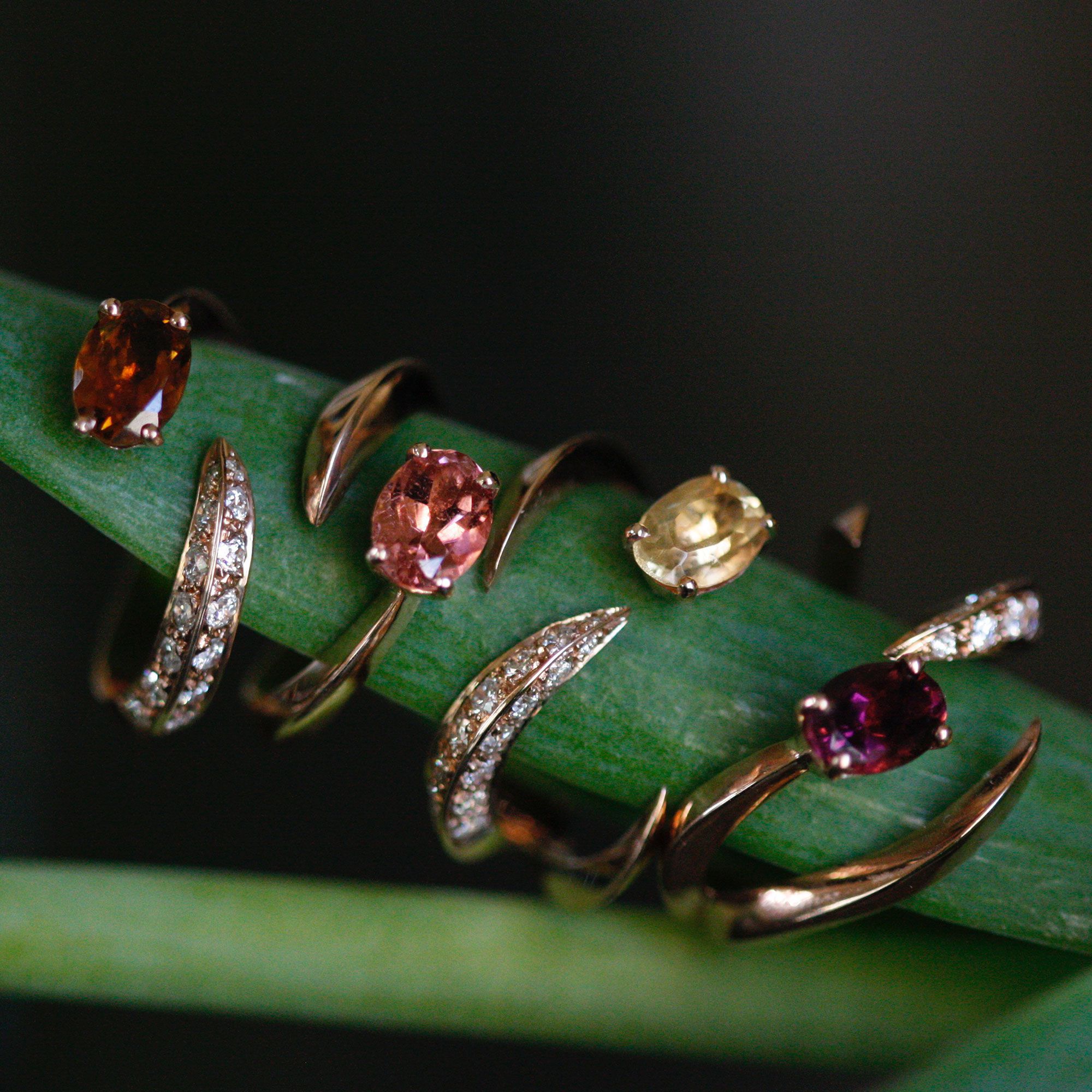 Four elements 'Solis' ring in rose gold with tourmaline SOLIS | AN4 1TORM PVAU9R VD CT.0,60 + 0,30